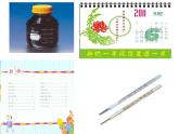 人教版一年级数学上册 中班数学活动：数字宝宝课件