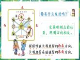 人教版数学三下 1 位置与方向（一） 练习二 课件