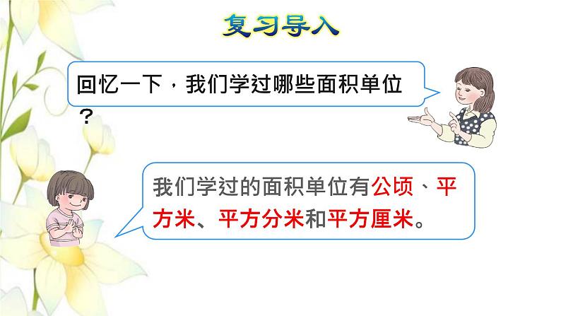 四年级数学上册2公顷和平方千米第2课时平方千米的认识授课课件新人教版02