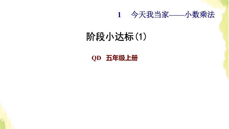 五年级数学上册一今天我当家__小数乘法阶段小达标1课件青岛版六三制01