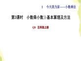 五年级数学上册一今天我当家__小数乘法第3课时小数乘小数基本算理及方法习题课件青岛版六三制