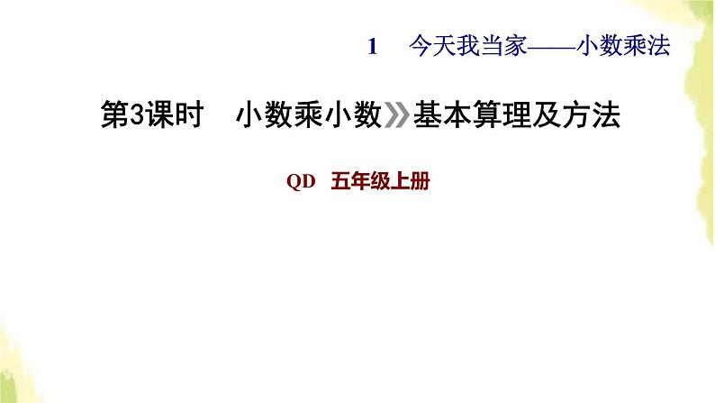 五年级数学上册一今天我当家__小数乘法第3课时小数乘小数基本算理及方法习题课件青岛版六三制01