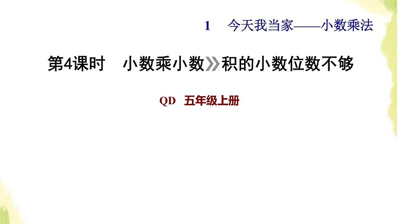 五年级数学上册一今天我当家__小数乘法第4课时小数乘小数积的小数位不够习题课件青岛版六三制01