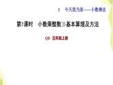 五年级数学上册一今天我当家__小数乘法第1课时小数乘整数基本算理及算法习题课件青岛版六三制