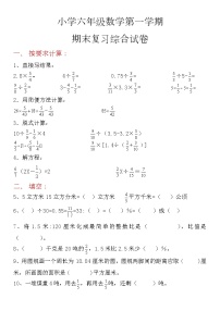 小学六年级数学第一学期期末复习综合试卷