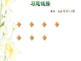 四年级数学上册第3单元保护天鹅__三位数乘两位数第2课时三位数乘两位数的笔算乘法习题课件青岛版六三制