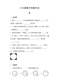 【寒假作业五】人教版六年级数学寒假作业（五）圆