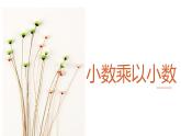 人教版数学五年级上册《小数乘小数》名师课件