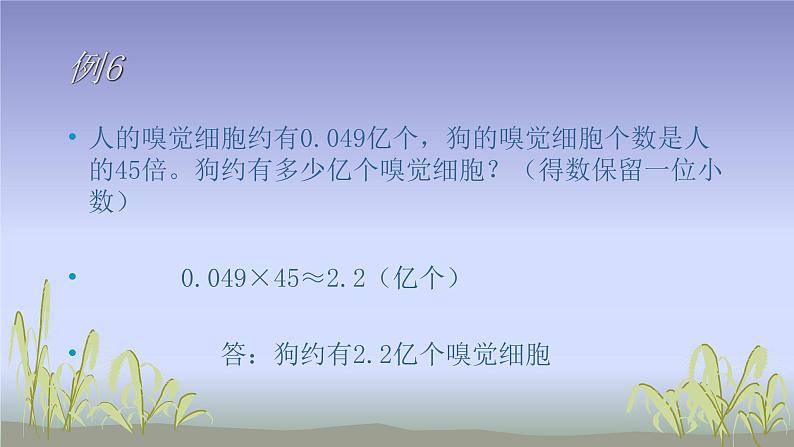 人教版五年级数学上册第一单元《小数乘法——积的近似值》课件PPT第4页