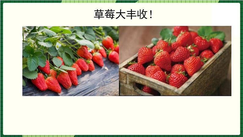 北师大版二下数学1.4《分草莓》授课课件+教案01