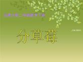 1.4分草莓课件02