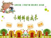 5.5小蝌蚪的成长课件PPT