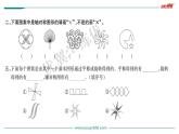 小小设计师PPT课件免费下载