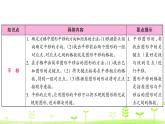 人教數(shù)學四年級下冊 第7單元 圖形的運動（二）整理和復(fù)習課件PPT