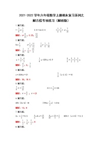 2021-2022学年六年级数学上册期末复习系列之解方程专项练习（解析版）