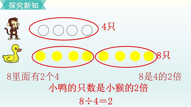 北师二年级上册第七单元第6课时 快乐的动物（1）课件PPT第7页