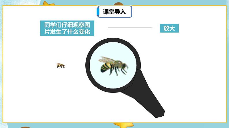 4.3.4《图形的放大和缩小》课件PPT（送教案练习）05