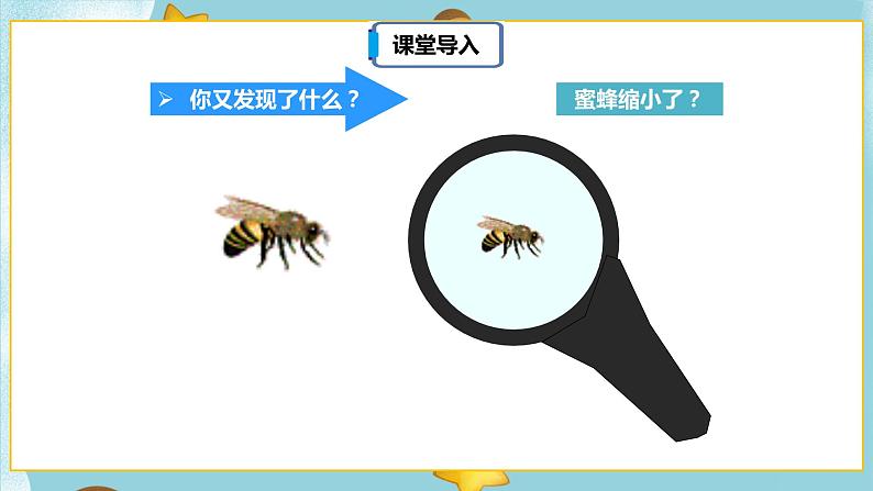 4.3.4《图形的放大和缩小》课件PPT（送教案练习）06