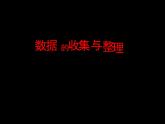 2、简单数据的收集和整理 (1)课件PPT