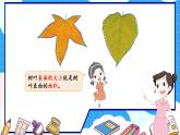 北師大版數(shù)學(xué)三下5.1《什么是面積》課件+教案+視頻素材