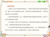 人教版数学二年级下册 第六单元教学课件：3课时   小小设计师