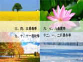 北师大版四下数学6.1《生日》课件+教案+视频素材