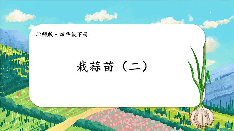 北师大版四下数学6.2《栽蒜苗（二）》课件+教案+视频素材01