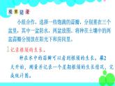 苏教数学五年级下册  综合与实践  蒜叶的生长 PPT课件