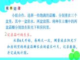 苏教数学五年级下册  综合与实践  蒜叶的生长 PPT课件