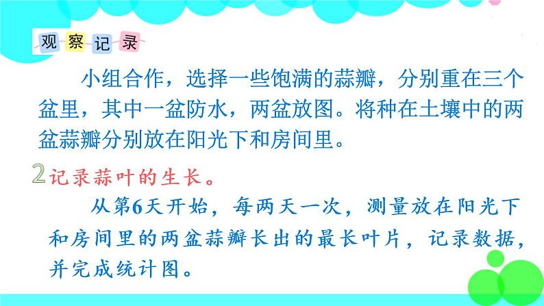 苏教数学五年级下册  综合与实践  蒜叶的生长 PPT课件05