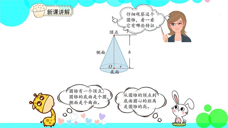 人教版数学6年级下册 3.5圆锥的认识 PPT课件04
