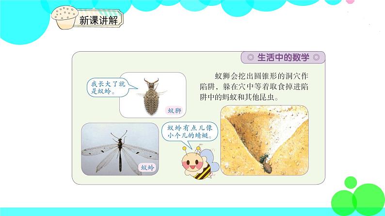 人教版数学6年级下册 3.5圆锥的认识 PPT课件07