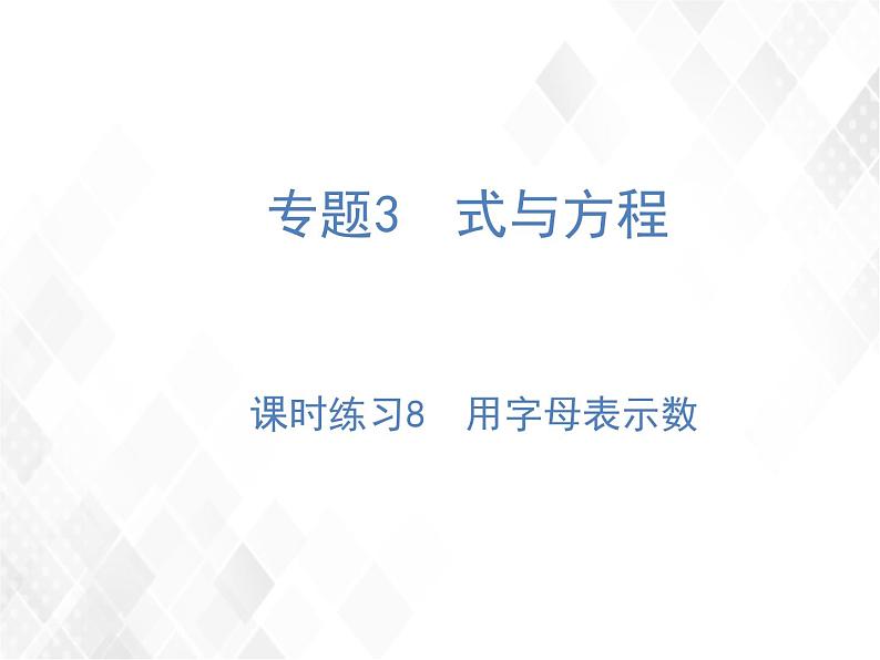 课时练习8  用字母表示数第1页