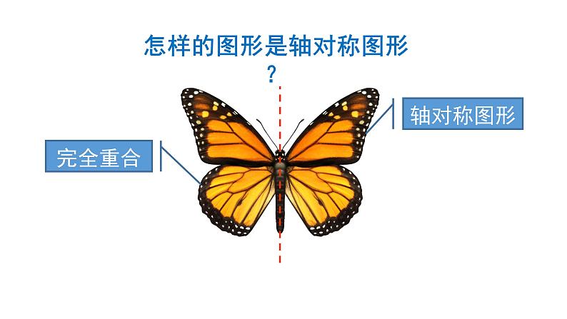 7.1 轴对称-四年级下册数学-人教版课件PPT04