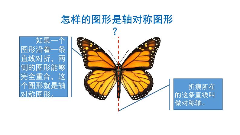 7.1 轴对称-四年级下册数学-人教版课件PPT05