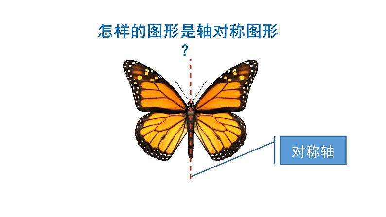 7.1 轴对称-四年级下册数学-人教版课件PPT07