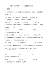 专题05《比和比例》小升初数学专项复习