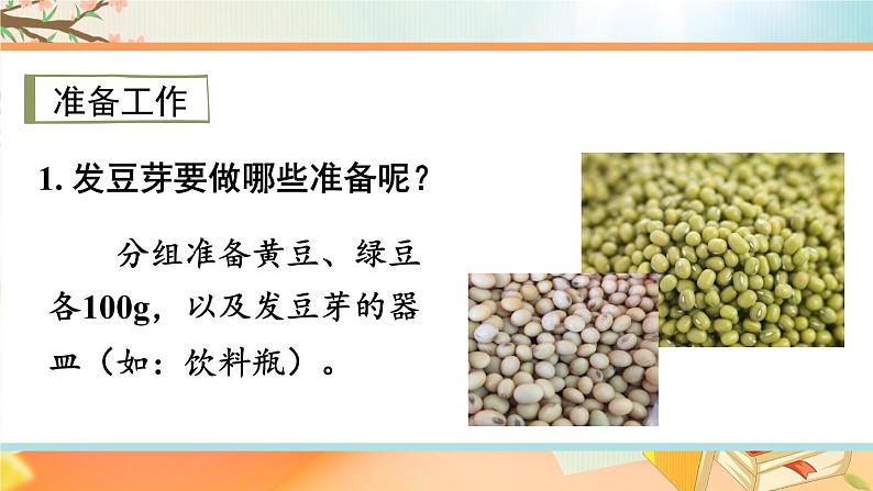 西师大版五下数学第六单元 综合与实践 发豆芽第5页