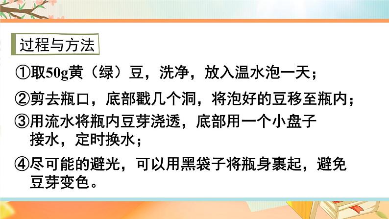 西师大版五下数学第六单元 综合与实践 发豆芽第6页
