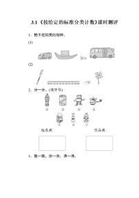 小学数学3. 分类与整理练习