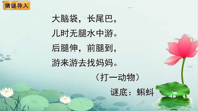 北师大版二下数学5.5《小蝌蚪的成长》第一课时 授课课件+教案02