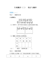 人教版小学数学二下 专项测评3 统计与概率（含答案）