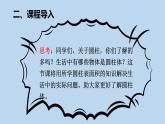 人教版六年级数学下册 第三单元 3.1.2圆柱的表面积课件PPT