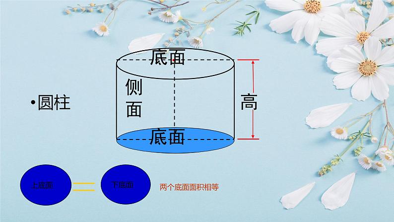 人教版六年级数学下册 第三单元 3.1.2 圆柱的表面积课件PPT第4页