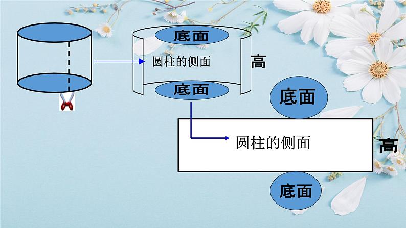 人教版六年级数学下册 第三单元 3.1.2 圆柱的表面积课件PPT第7页