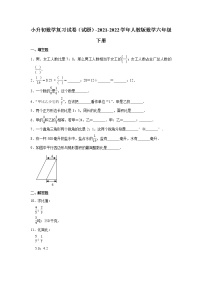 小升初数学复习试卷（试题）-2021-2022学年人教版数学六年级下册（3）(含答案）