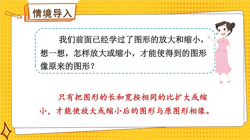 北师大版数学六下数学好玩《可爱的小猫》课件+教案02