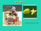 2021二年级数学上册第7单元观察物体从前后左右观察物体授课课件苏教版