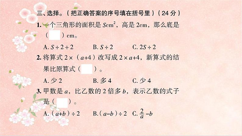 课时训练1  用字母表示数第6页