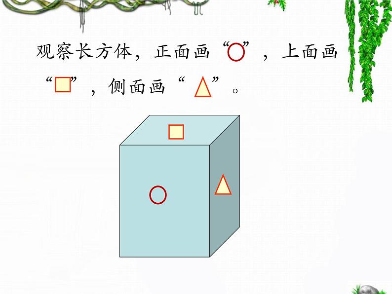 二年级下册数学课件-2.11 观察物体｜浙教版 (共19张PPT)03